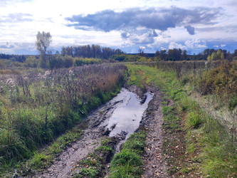 Similar image 22237453