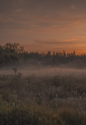 Similar image 22243303