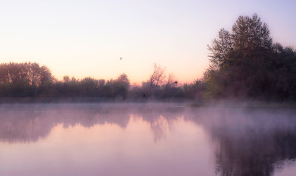 Similar image 22243305