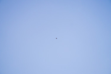 Similar image 22245663