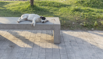 Similar image 22245670