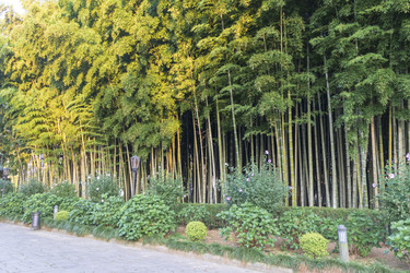 Similar image 22245751