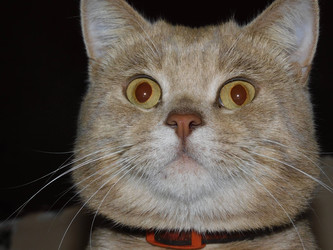 Similar image 22237369