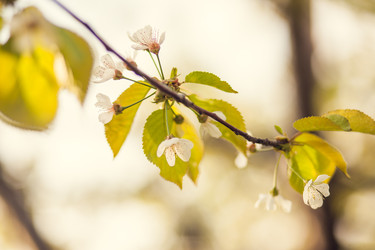 Similar image 22248399