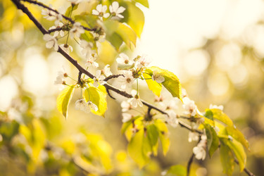 Similar image 22248400