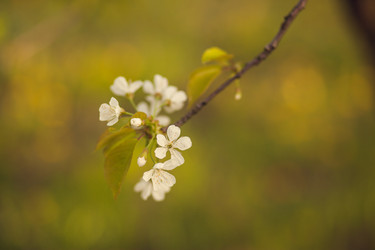 Similar image 22248401