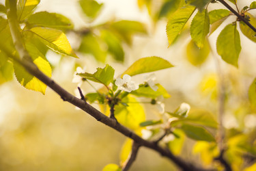 Similar image 22248402