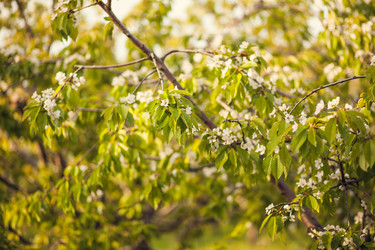 Similar image 22248403