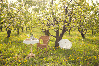 Similar image 22248404