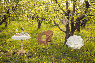 Similar image 22248406