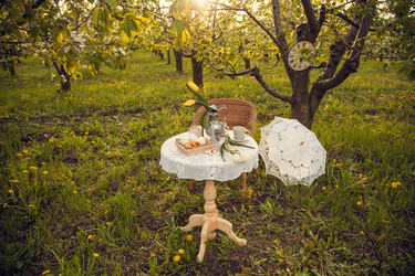 Similar image 22248409