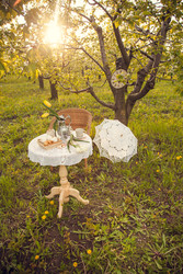 Similar image 22248410