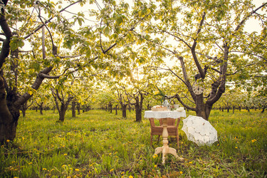 Similar image 22248411