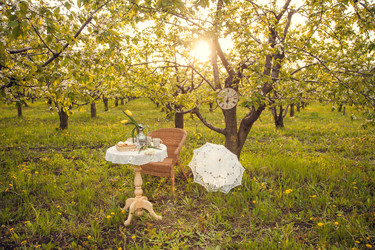 Similar image 22248412