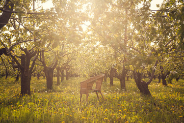 Similar image 22248419