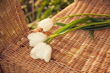 Similar image 22248422