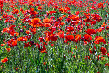 Similar image 22243574