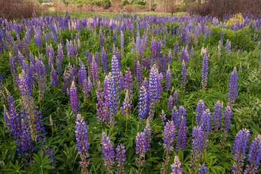 Similar image 22243578