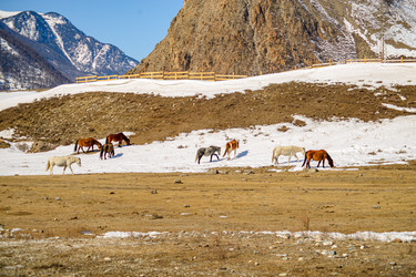 Similar image 22243838