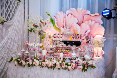 Similar image 22248495