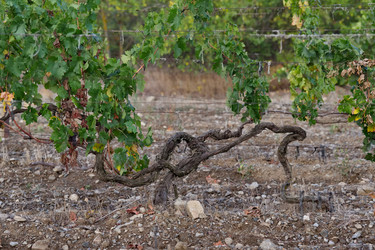 Similar image 22245114