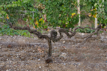 Similar image 22245115