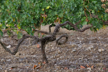 Similar image 22245116