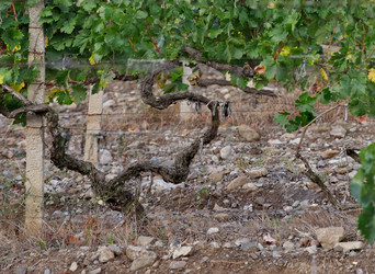 Similar image 22245117