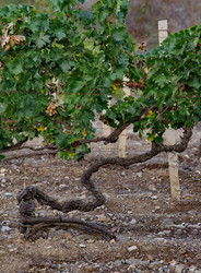 Similar image 22245118