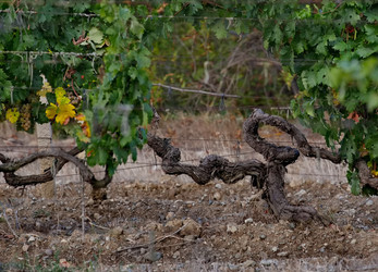 Similar image 22245119