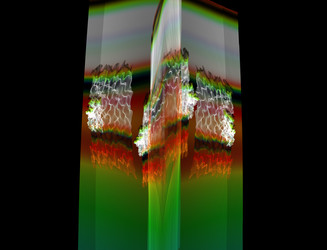 Similar image 22246354