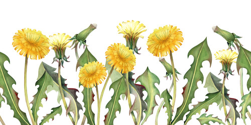 Similar image 22244547