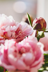 Similar image 22246797