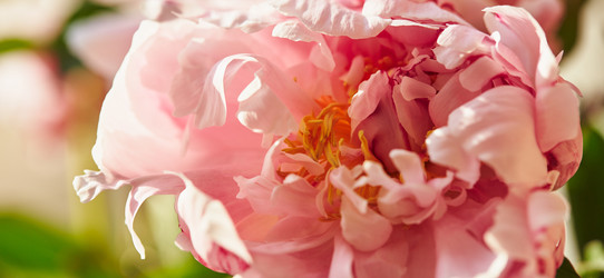 Similar image 22246798