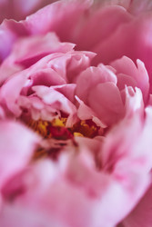 Similar image 22246800