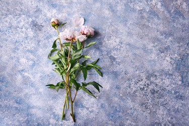 Similar image 22246801