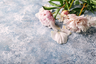 Similar image 22246803