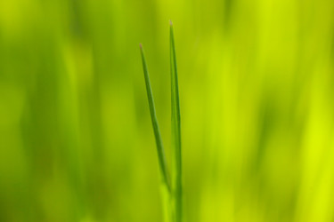 Similar image 22248579