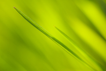 Similar image 22248580