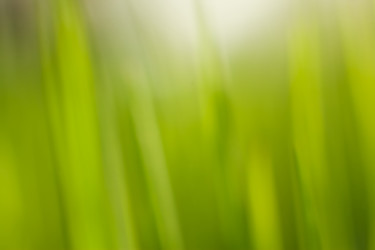 Similar image 22248581