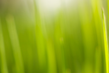 Similar image 22248582