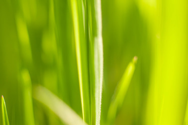 Similar image 22248584