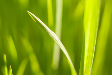 Similar image 22248585