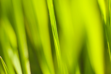 Similar image 22248586