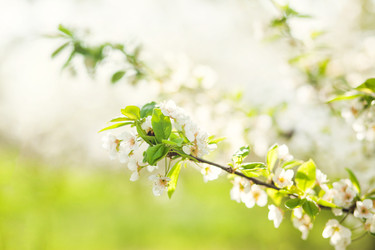 Similar image 22248587