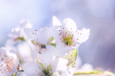 Similar image 22248588