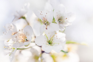 Similar image 22248589