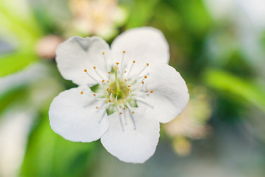 Similar image 22248590