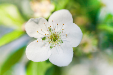 Similar image 22248591