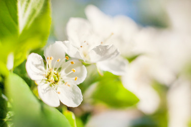 Similar image 22248592